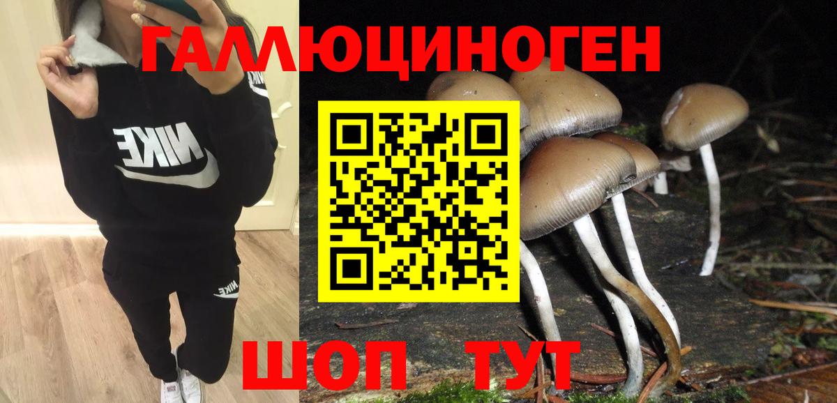 Батайск  Псилоцибиновые грибы Cubensis  Вход с VPN 